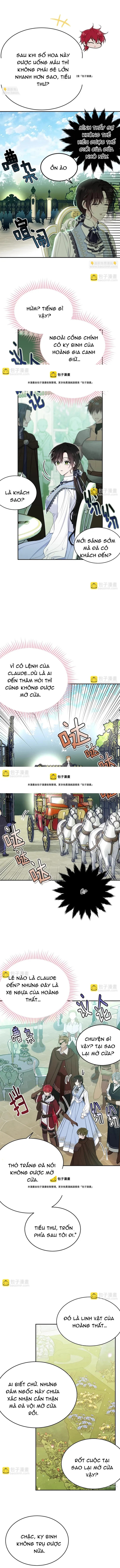 Tiểu Thư Mà Tôi Phục Vụ Biến Thành Thiếu Gia Rồi - Trang 7