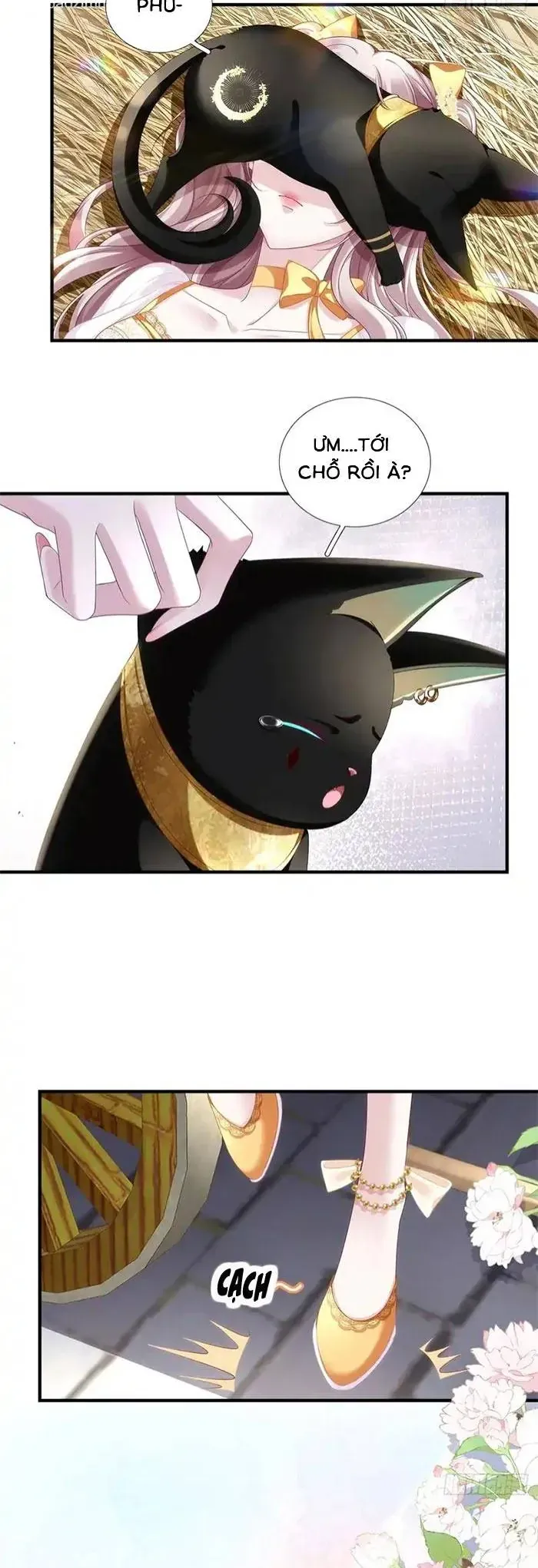 Ma Nữ Trở Lại Và Cuộc Hôn Nhân Định Mệnh Chap 18 - Next Chap 17