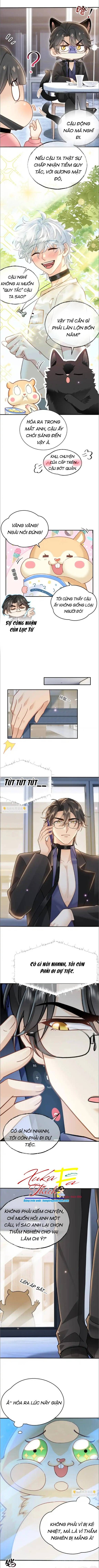 Crush Của Tôi Là Mèo Chap 8 - Next Chap 6