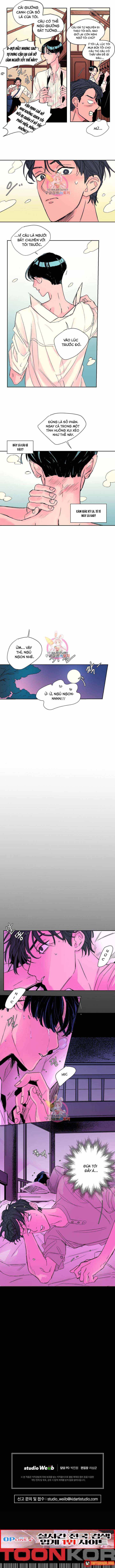 Bá Tước Tachibana Chap 17 - Next Chap 16