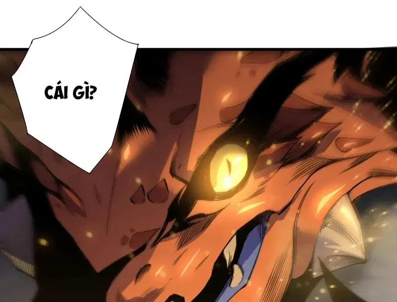 Thảm Họa Tử Linh Sư [Chap 243]