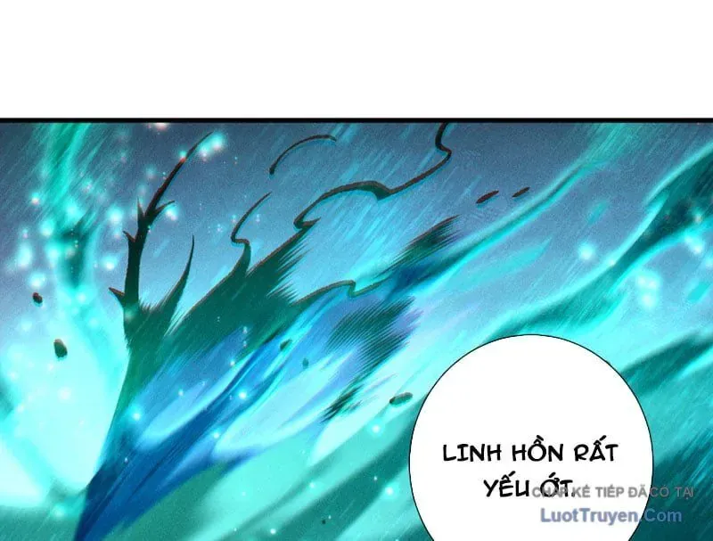 Thảm Họa Tử Linh Sư [Chap 243]