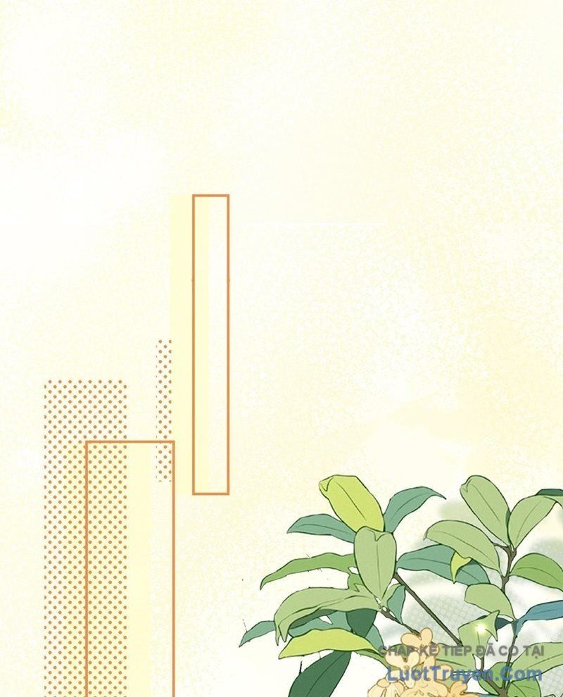 Quyền Vương Phục Sinh Chap 35 - Next Chap 34