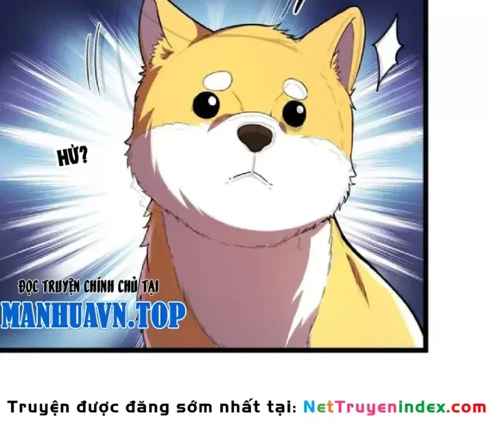 Tối Cường Khí Thiếu (Bản Mới) Chương 15 - Trang 10