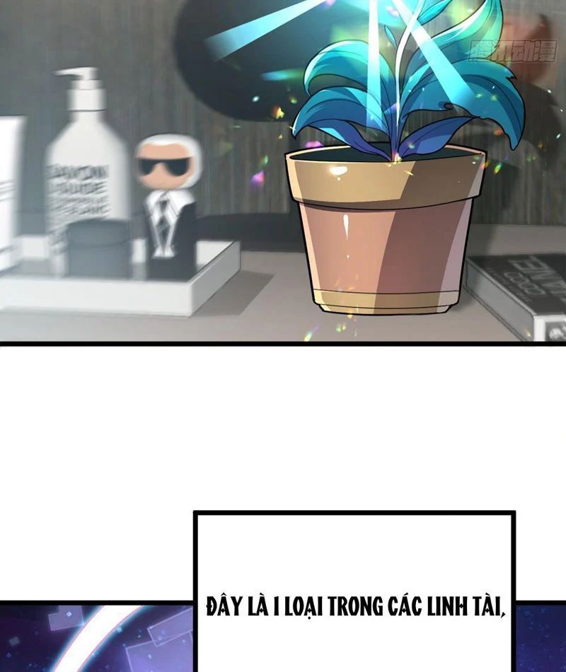 Tối Cường Khí Thiếu (Bản Mới) Chương 5 - Trang 8