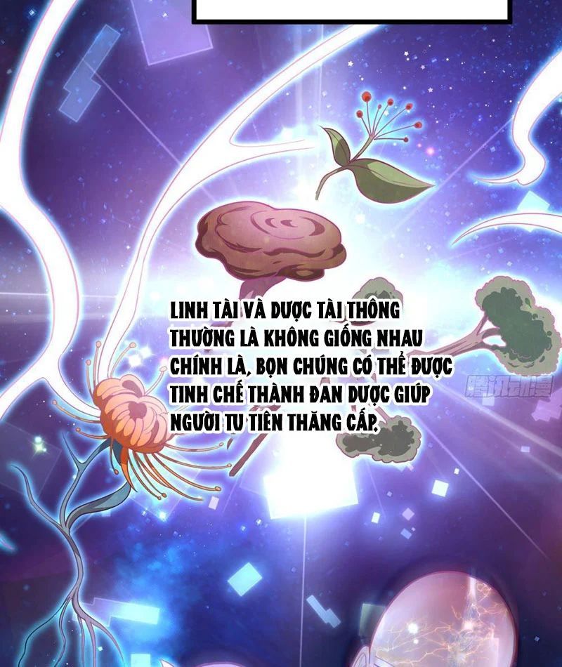 Tối Cường Khí Thiếu (Bản Mới) Chương 5 - Trang 9
