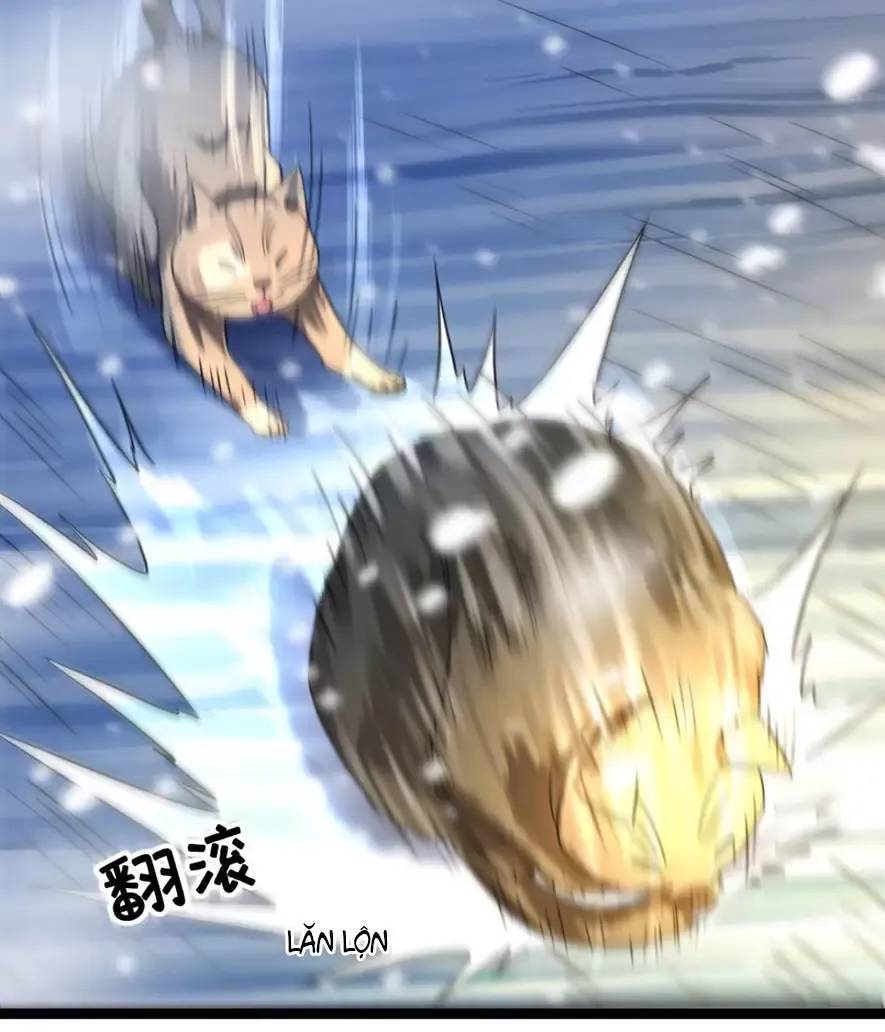 Toàn Cầu Băng Phong Ta Chế Tạo Phòng An Toàn Tại Tận Thế Chap 351 - Next Chap 350