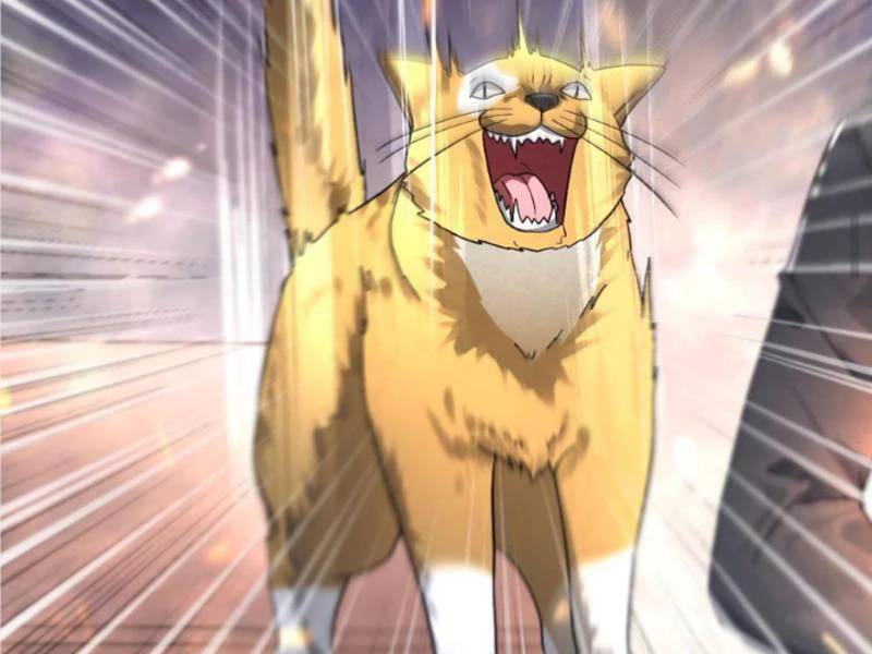 Toàn Cầu Băng Phong Ta Chế Tạo Phòng An Toàn Tại Tận Thế Chap 409 - Next Chap 408