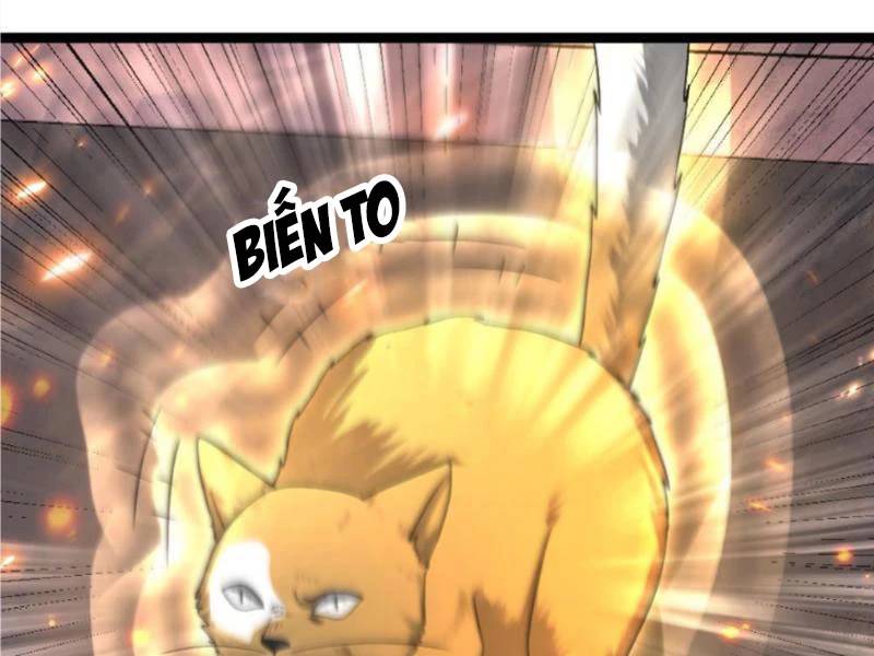 Toàn Cầu Băng Phong Ta Chế Tạo Phòng An Toàn Tại Tận Thế Chap 409 - Next Chap 408