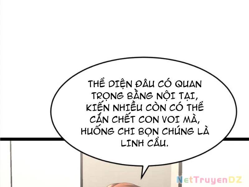 Toàn Cầu Băng Phong Ta Chế Tạo Phòng An Toàn Tại Tận Thế Chap 541 - Next Chap 540