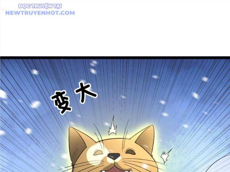 Toàn Cầu Băng Phong Ta Chế Tạo Phòng An Toàn Tại Tận Thế Chap 565 - Next Chap 564