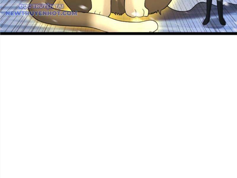 Toàn Cầu Băng Phong Ta Chế Tạo Phòng An Toàn Tại Tận Thế Chap 565 - Next Chap 564