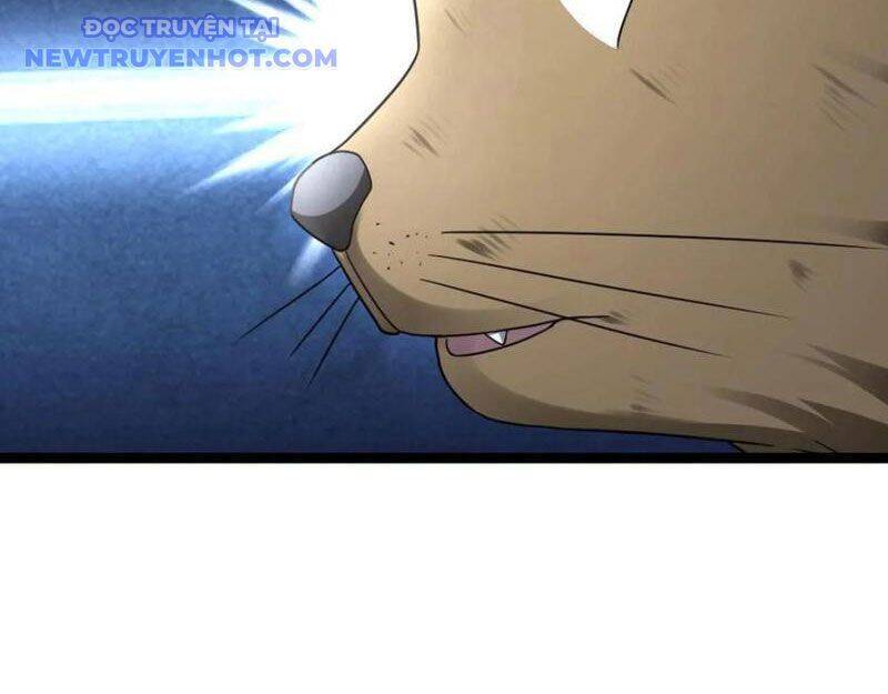 Toàn Cầu Băng Phong Ta Chế Tạo Phòng An Toàn Tại Tận Thế Chap 566 - Next Chap 565