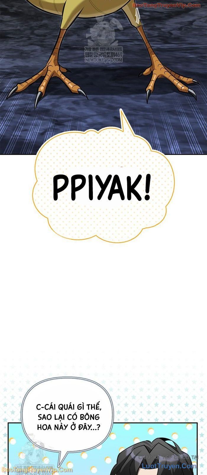 Healer Cấp S Chữa Trị Cho Quái Vật Chap 31 - Next Chap 30