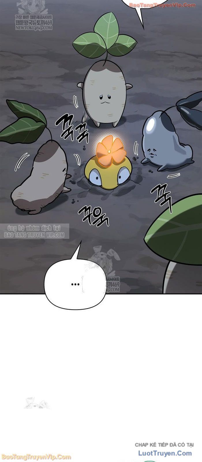 Healer Cấp S Chữa Trị Cho Quái Vật Chap 31 - Next Chap 30