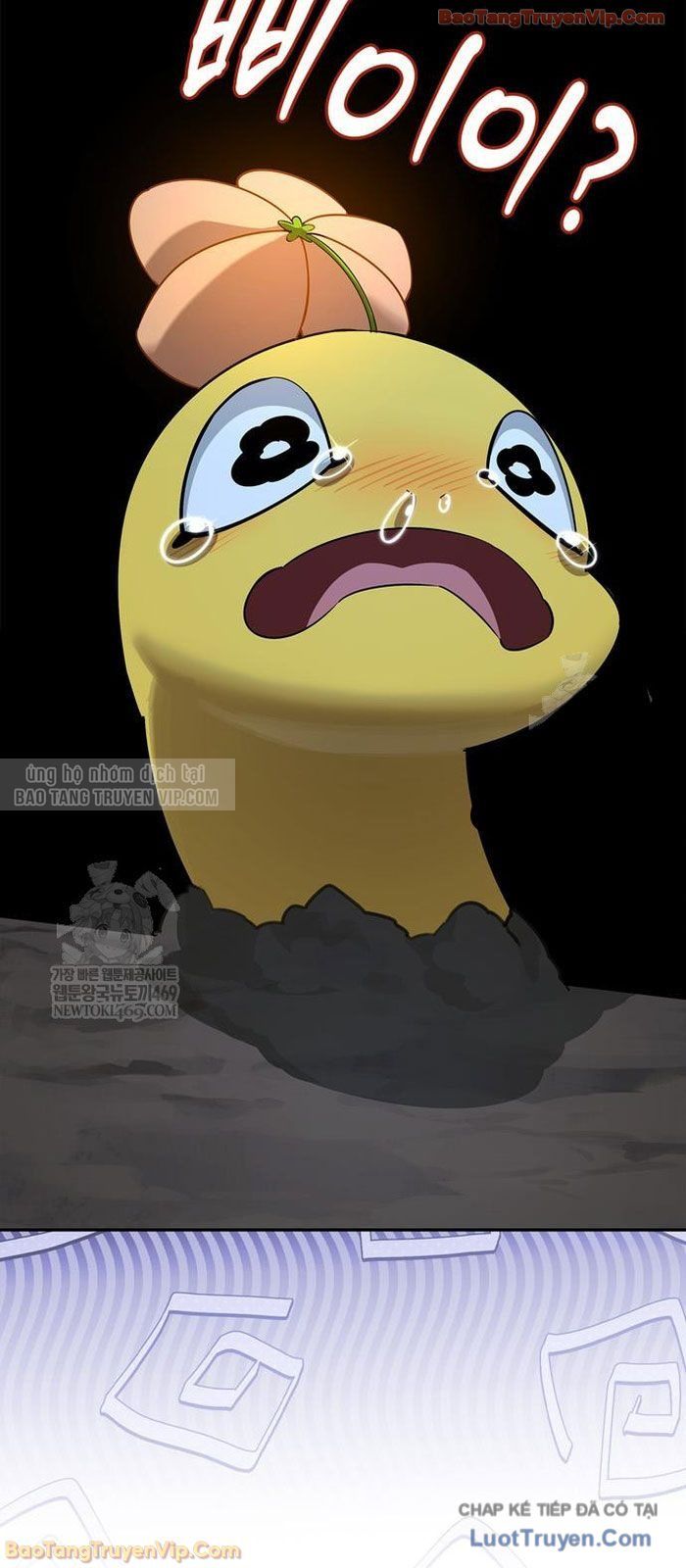 Healer Cấp S Chữa Trị Cho Quái Vật Chap 31 - Next Chap 30