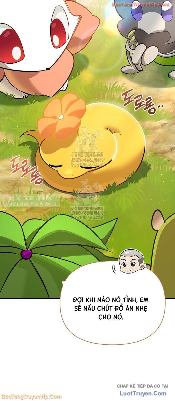 Healer Cấp S Chữa Trị Cho Quái Vật Chap 31 - Next Chap 30