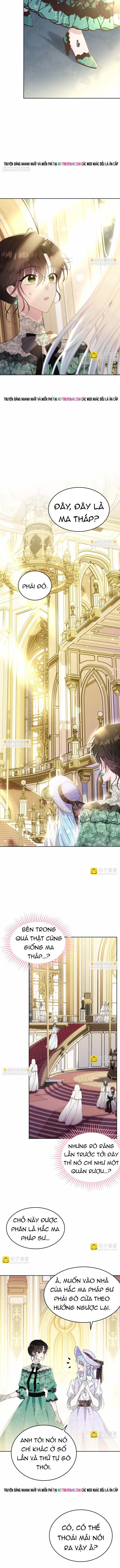 Tiểu Thư Mà Tôi Phục Vụ Biến Thành Thiếu Gia Rồi - Trang 11