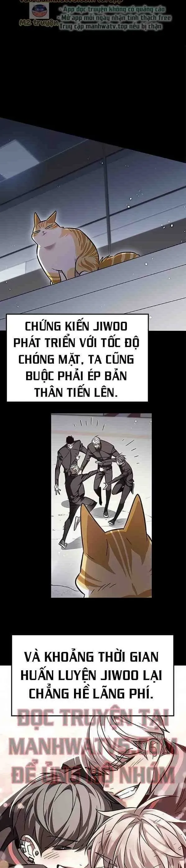 Hoá Thân Thành Mèo Chap 385 - Next Chap 384