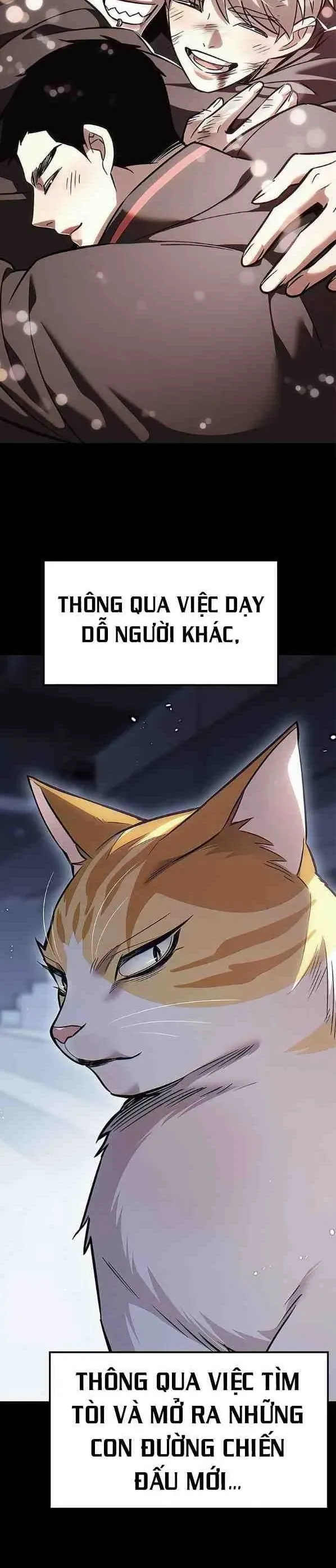 Hoá Thân Thành Mèo Chap 385 - Next Chap 384