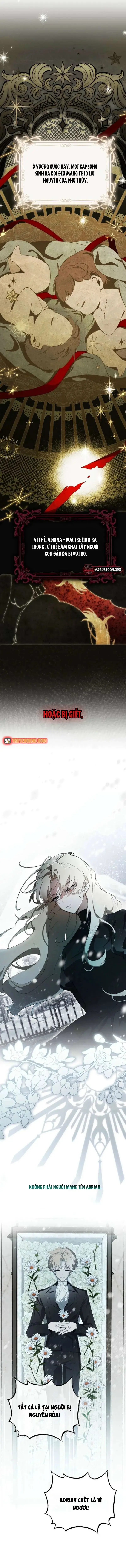 Ví Dụ Thất Bại Của Lời Nguyền Hoàn Hảo Chap 1 - Next Chap 0