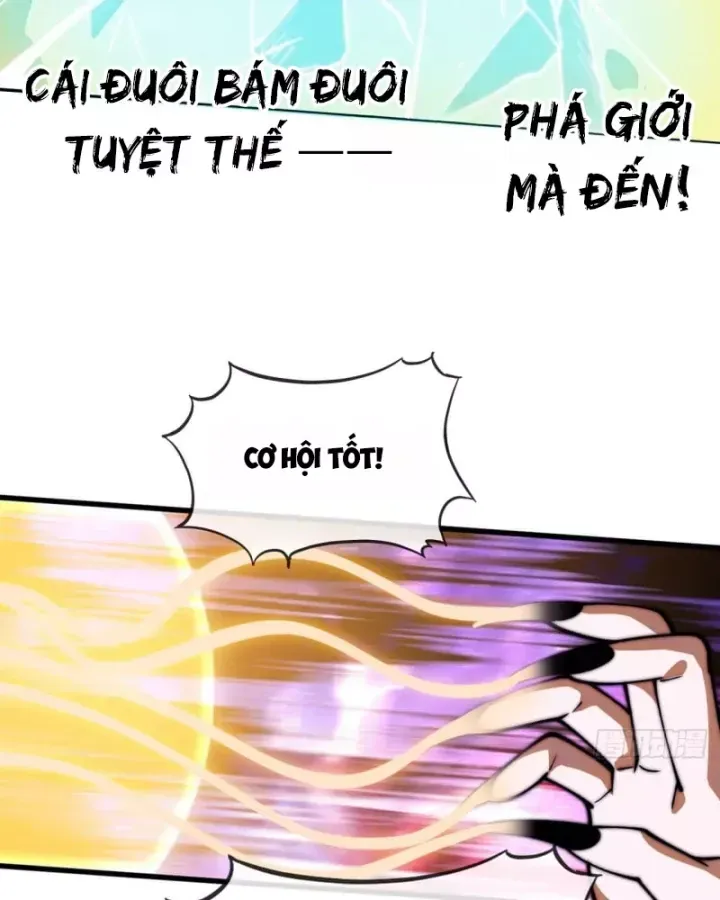 Ta Có Một Sơn Trại [Chap 1233-1273] - Page 26