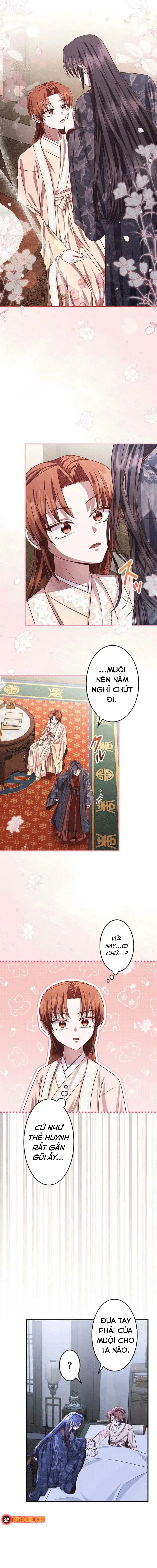 Trùng Sinh Về Kiếp Trước, Ta Phát Hiện Anh Trai Là Kẻ Đại Ác Nhân Chap 20 - Next Chap 19