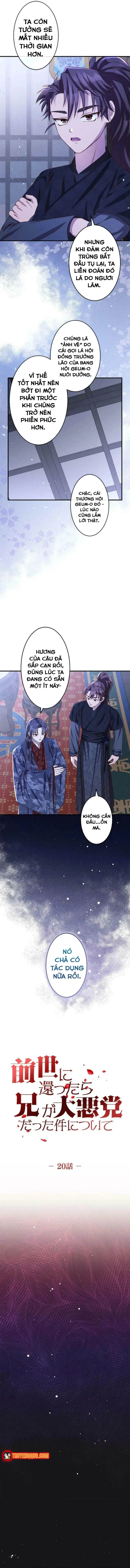 Trùng Sinh Về Kiếp Trước, Ta Phát Hiện Anh Trai Là Kẻ Đại Ác Nhân Chap 20 - Next Chap 19