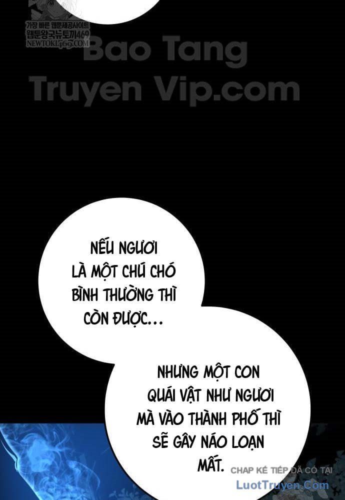 Kỵ Sĩ Lang Thang Chap 18 - Next Chap 17