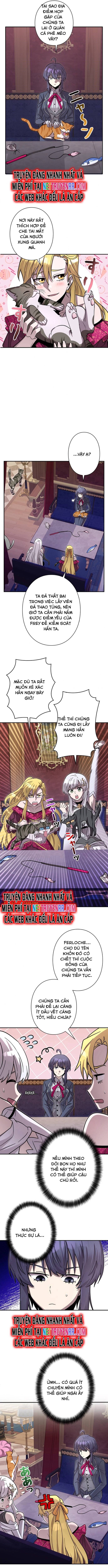 Ta Là Anh Hùng Nhưng Các Nữ Chính Lại Muốn Giết Ta Chap 11 - Next Chap 10