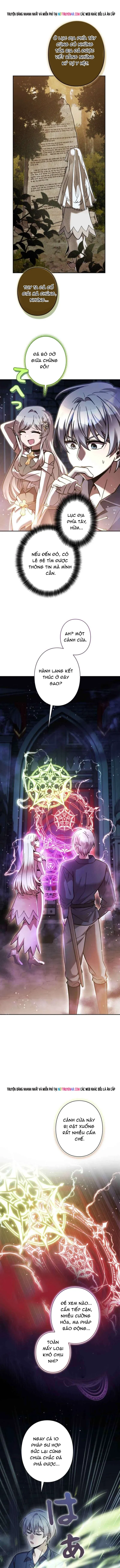 Ta Là Anh Hùng Nhưng Các Nữ Chính Lại Muốn Giết Ta Chap 34 - Next Chap 33