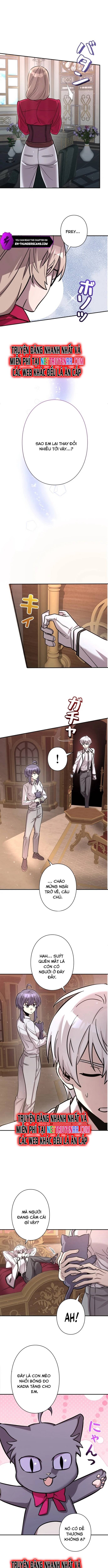 Ta Là Anh Hùng Nhưng Các Nữ Chính Lại Muốn Giết Ta Chap 6 - Next Chap 5