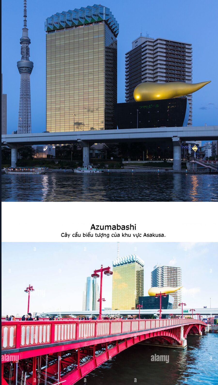 Aizawa Koharu Wa Shi Ni Isogu Chap 8 - Next Chap 7