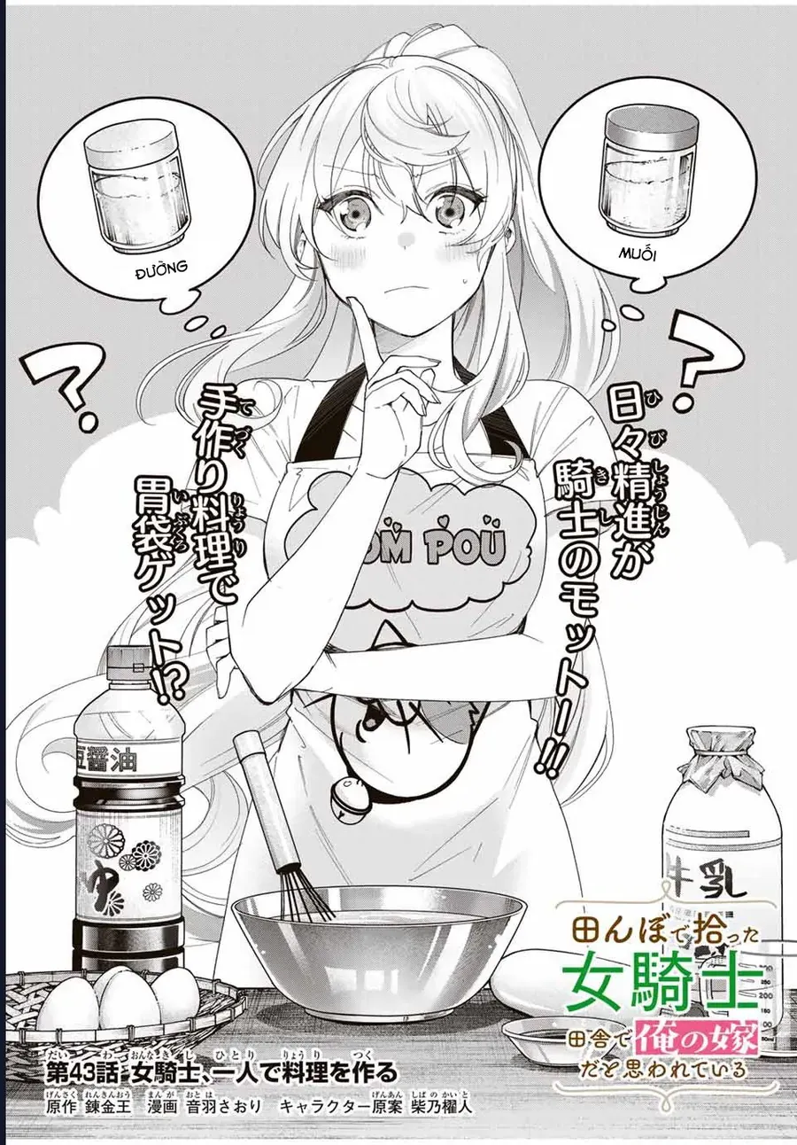 I Found a Female Knight in a Rice Field in the Countryside They Think She’s My Wife Chap 43 - Next Chap 42