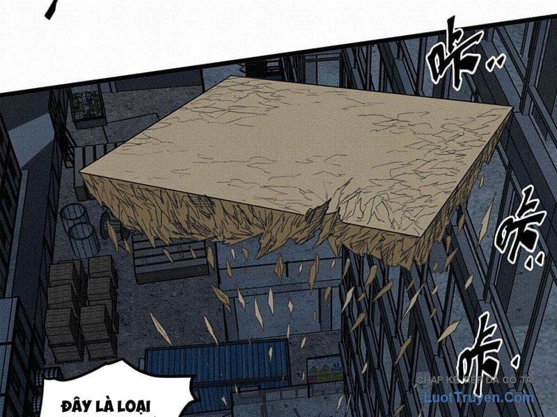 Sắc Lệnh Săn Thần Chap 11 - Next Chap 10