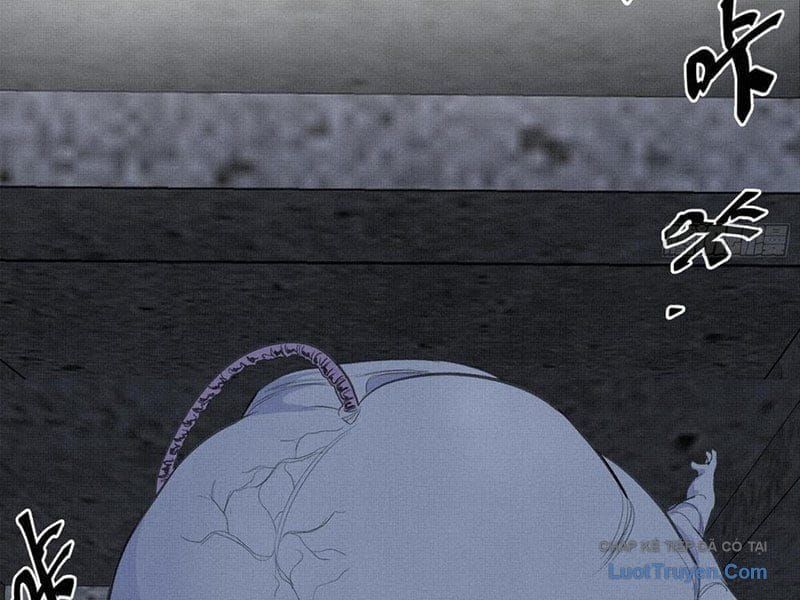 Sắc Lệnh Săn Thần Chap 11 - Next Chap 10