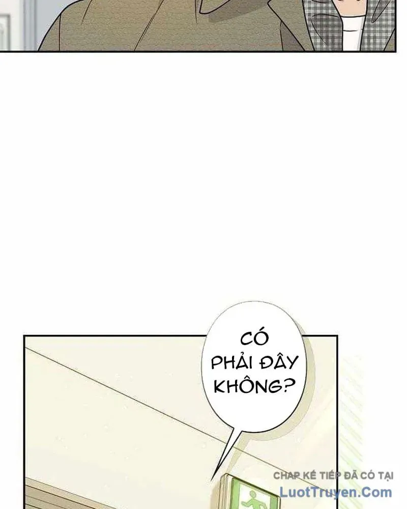 Sự Tái Sinh Của Nhà Thiết Kế Tài Ba Chap 50 - Next Chap 49