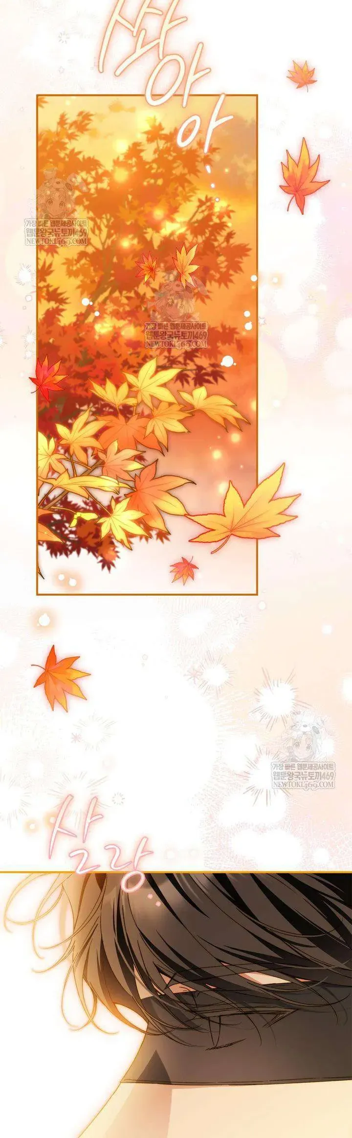 Tôi Đã Đính Hôn Với Vị Công Tước Mù Chap 27 - Next Chap 26