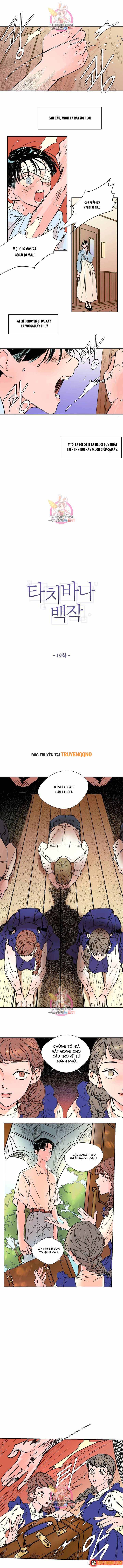 Bá Tước Tachibana Chap 19 - Next Chap 18