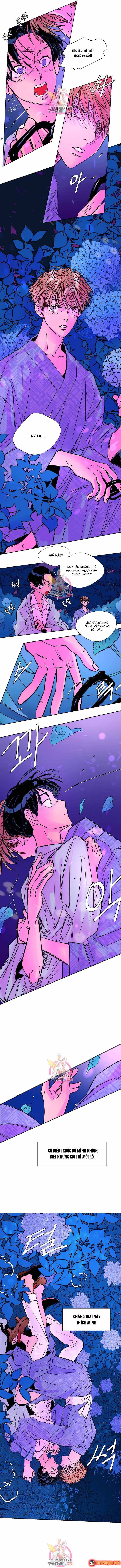 Bá Tước Tachibana Chap 19 - Next Chap 18