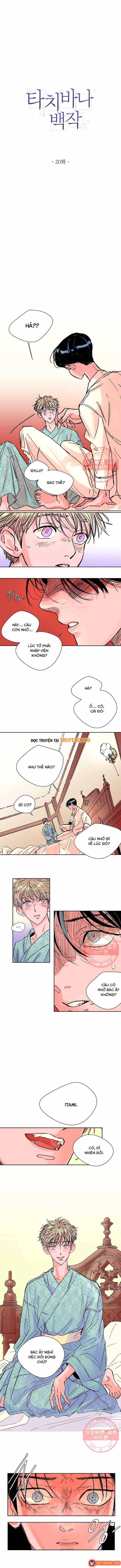Bá Tước Tachibana Chap 20 - Next Chap 19