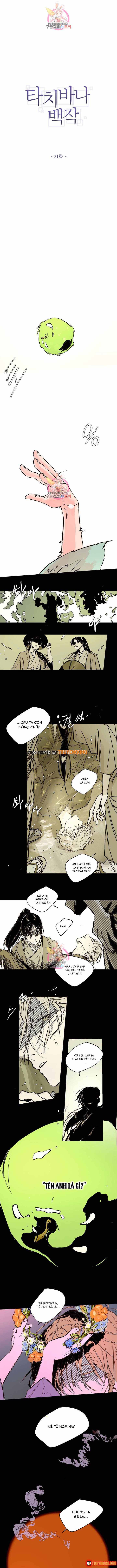 Bá Tước Tachibana Chap 21 - Next Chap 20