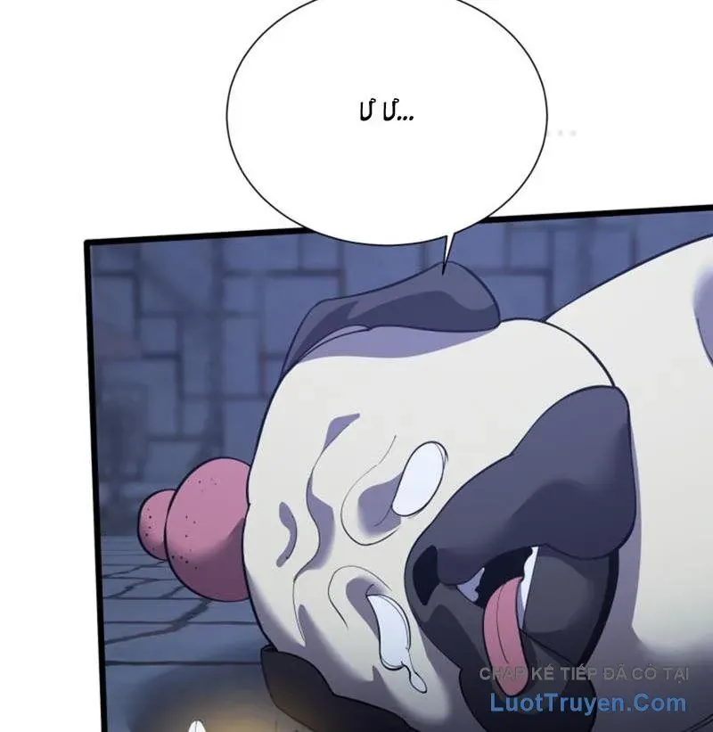 Ta Học Trảm Thần Trong Bệnh Viện Tâm Thần Chap 311 - Next Chap 310