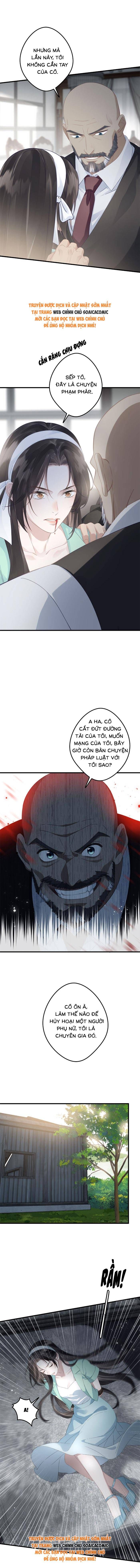 Sau Ly Hôn Chồng Cũ Cứ Muốn Trở Lại Làm Chính Thất Chap 23 - Next Chap 22