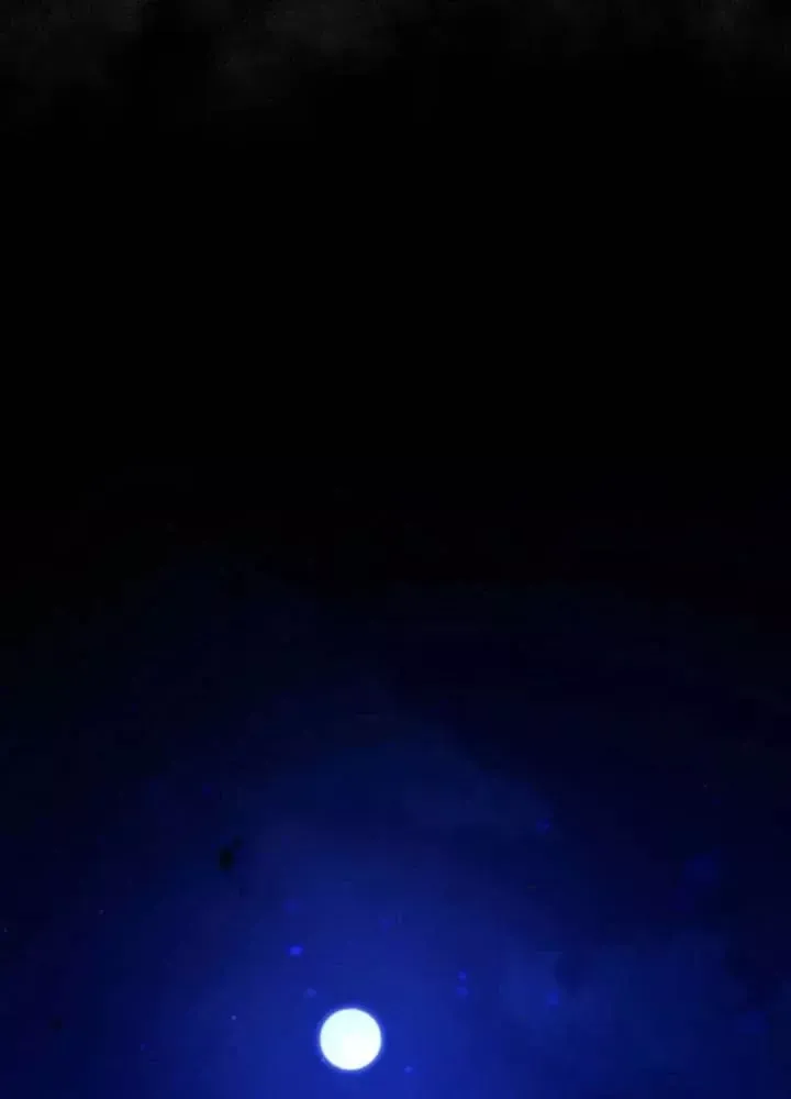 Hầm Ngục Ngon Lành Chap 25 - Next Chap 24