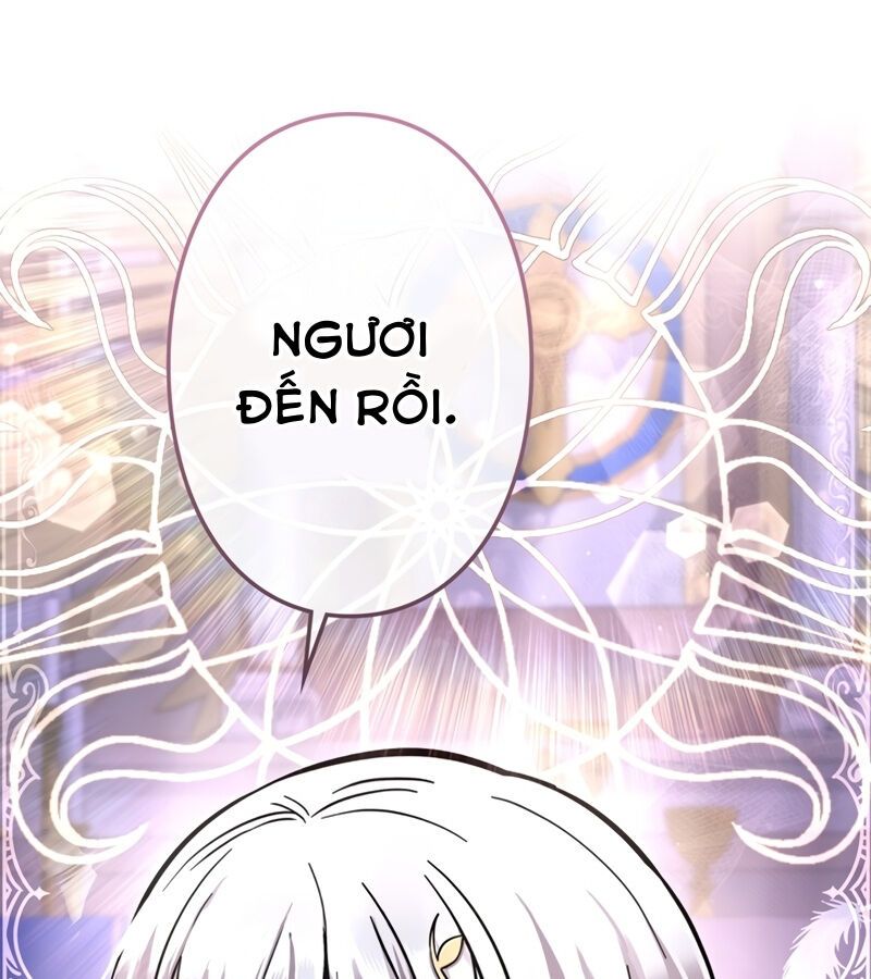 Các Nữ Anh Hùng Muốn Giết Tôi, Một Anh Hùng Chap 13 - Next Chap 12