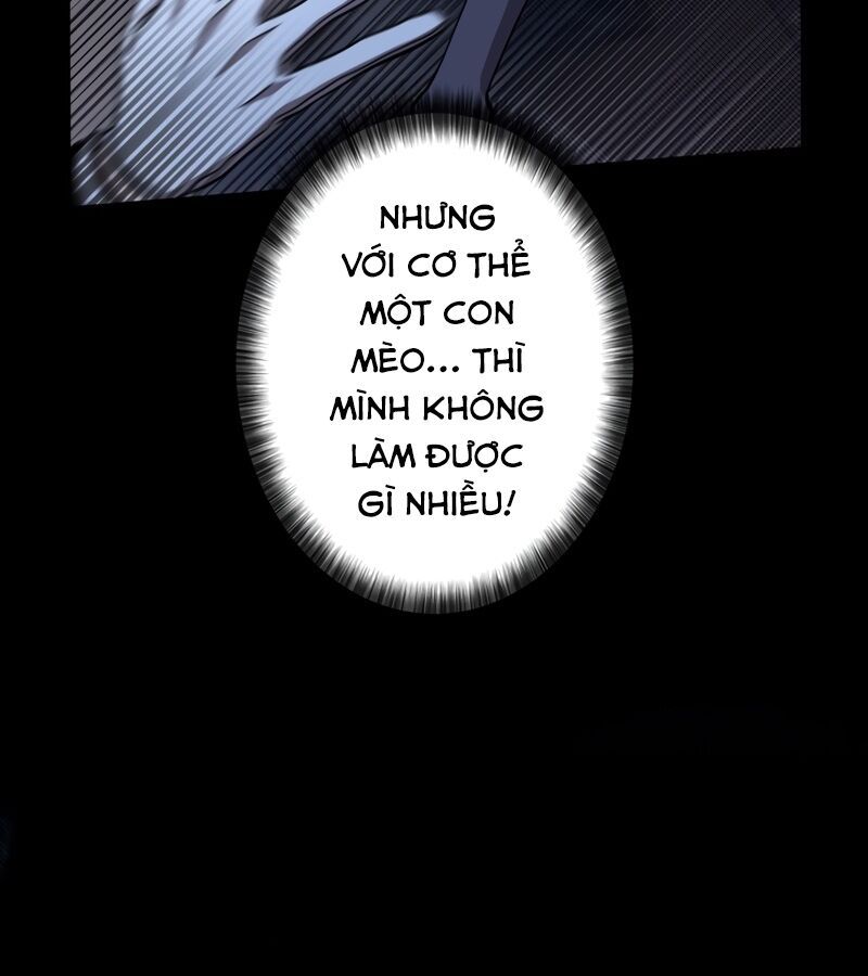 Các Nữ Anh Hùng Muốn Giết Tôi, Một Anh Hùng Chap 15 - Next Chap 14