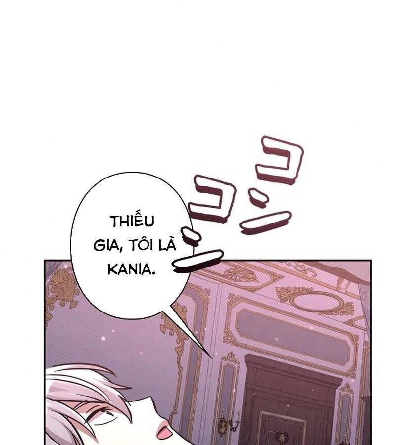 Các Nữ Anh Hùng Muốn Giết Tôi, Một Anh Hùng Chap 20 - Next Chap 19