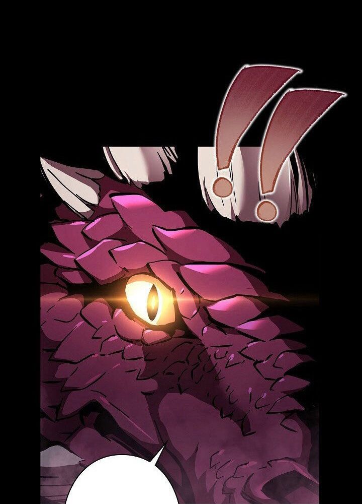 Các Nữ Anh Hùng Muốn Giết Tôi, Một Anh Hùng Chap 33 - Next Chap 32