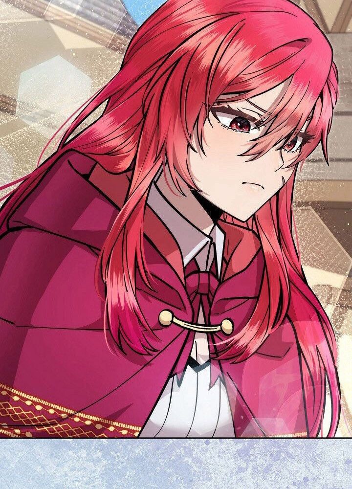 Các Nữ Anh Hùng Muốn Giết Tôi, Một Anh Hùng Chap 33 - Next Chap 32